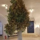 Trianon Múzeum Várpalota - Egyéb