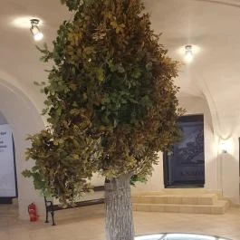 Trianon Múzeum Várpalota - Egyéb