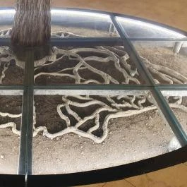 Trianon Múzeum Várpalota - Egyéb