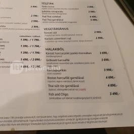 Új Halászkert Étterem Gyömrő - Egyéb