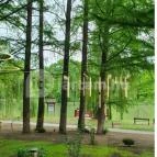 Újváros Bisztró Szarvas - Egyéb