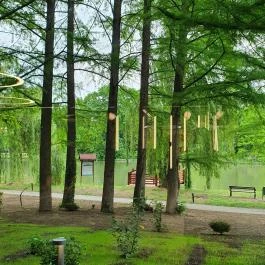 Újváros Bisztró Szarvas - Egyéb