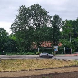 Újváros Bisztró Szarvas - Egyéb