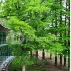 Újváros Bisztró Szarvas - Egyéb