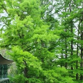 Újváros Bisztró Szarvas - Egyéb