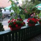 Unicum Presszó Mád - Külső kép