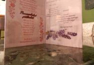 Üstökös Pálinkázó Debrecen