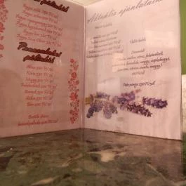 Üstökös Pálinkázó, Debrecen - Étlap/itallap