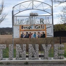 Üvegtigris Büfé, Tinnye - Egyéb