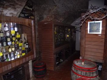 Váci Curia Borház & Borgyűjteménytár Vác