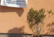 Vadgesztenye Étterem Bordány