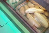 Vadkert Pékség Soltvadkert