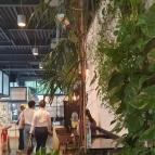 Vaj - József Attila utca Budapest - Egyéb