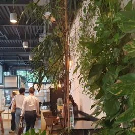 Vaj - József Attila utca Budapest - Egyéb