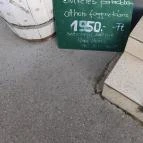 Van Boris Borbár Budapest - Egyéb