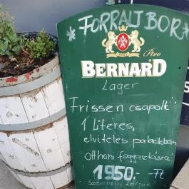 Van Boris Borbár, Budapest - Egyéb