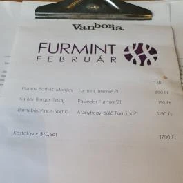 Van Boris Borbár, Budapest - Egyéb