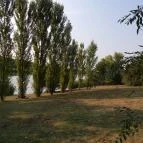 Vándor Büfé Tiszaug - Külső kép