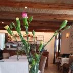 Vánkos Badacsonyörs - Egyéb