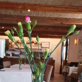 Vánkos Badacsonyörs - Egyéb