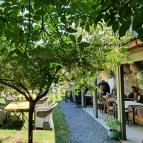 Vánkos Badacsonyörs - Egyéb