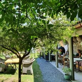 Vánkos Badacsonyörs - Egyéb