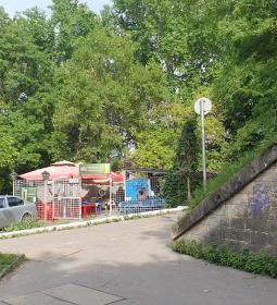 Vasmacska Halsütöde
