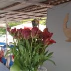 Vasmacska Halsütöde Budapest - Egyéb