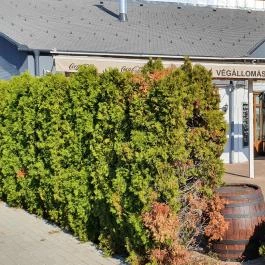 Végállomás Bistro & Wine, Miskolc - Egyéb