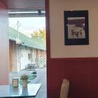 Vén Duna Cukrászda Verőce - Egyéb