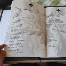 Vendéglő a Három Tölgyfához, Tatabánya - Étlap/itallap