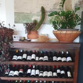 Veszely Csárda Békéscsaba - Egyéb