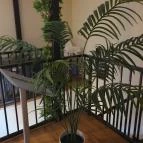 Viet vibe Restaurant Budapest - Egyéb