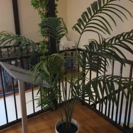 Viet vibe Restaurant, Budapest - Egyéb