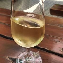 Vigadó Borozó, Badacsonytomaj - Étel/ital