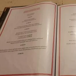 Vigadó Étterem, Budapest - Egyéb