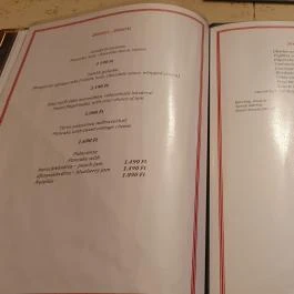 Vigadó Étterem, Budapest - Egyéb