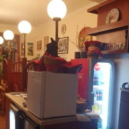 Vigadó Étterem, Budapest - Egyéb