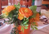 Viktória Söröző-Lottózó Jánoshalma