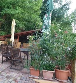 Világosi Étterem & Pizzéria