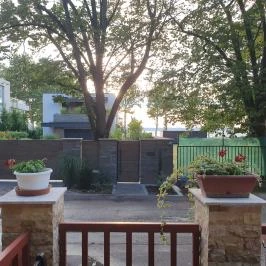 Világosi Étterem & Pizzéria Balatonvilágos - Egyéb