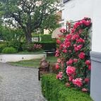 Villa Bagatelle Budapest - Egyéb