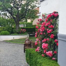 Villa Bagatelle, Budapest - Egyéb
