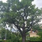 Villa Bagatelle Budapest - Egyéb