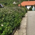 Villa Kabala Gastro Bistro Szigliget - Egyéb