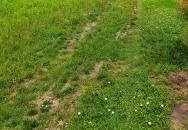 Villa Kabala Gastro Bistro Szigliget