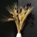 Villa Kabala Gastro Bistro Szigliget - Egyéb