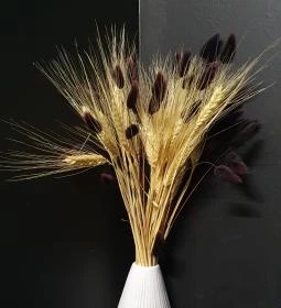 Villa Kabala Gastro Bistro