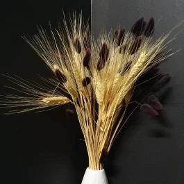 Villa Kabala Gastro Bistro Szigliget - Egyéb