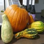 Villa Pátzay Borhotel Étterme Badacsonytomaj - Egyéb